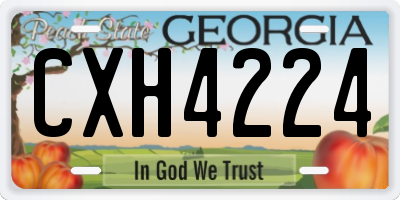 GA license plate CXH4224