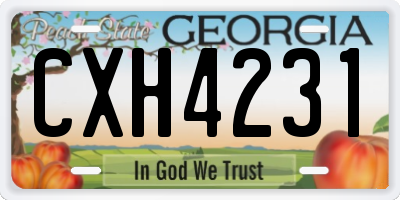 GA license plate CXH4231