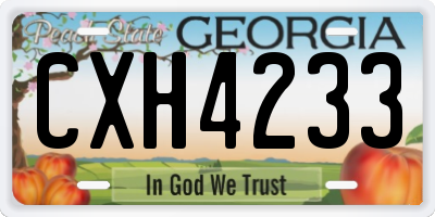 GA license plate CXH4233
