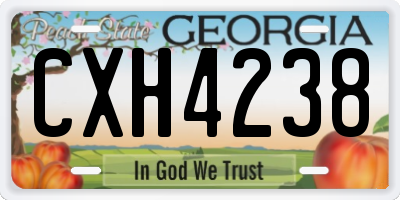 GA license plate CXH4238