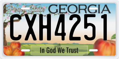 GA license plate CXH4251