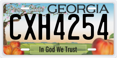 GA license plate CXH4254