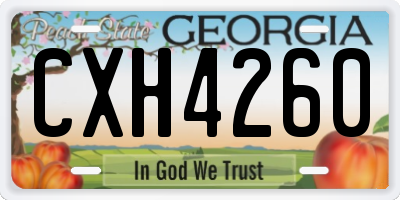 GA license plate CXH4260