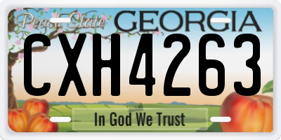 GA license plate CXH4263