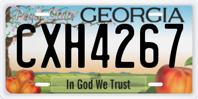 GA license plate CXH4267