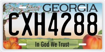 GA license plate CXH4288