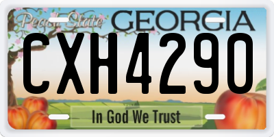 GA license plate CXH4290