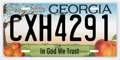 GA license plate CXH4291