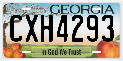 GA license plate CXH4293