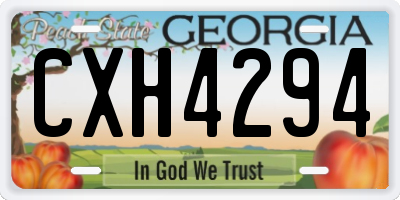 GA license plate CXH4294