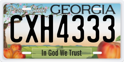 GA license plate CXH4333