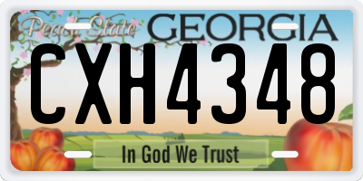 GA license plate CXH4348