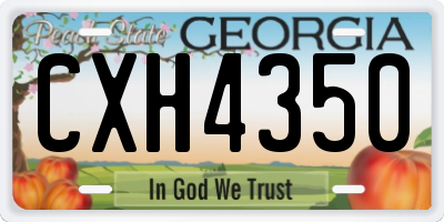 GA license plate CXH4350