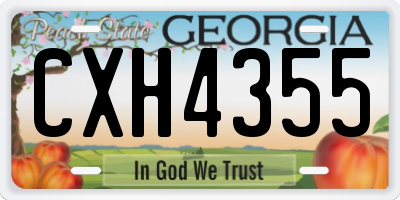 GA license plate CXH4355