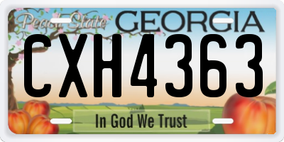 GA license plate CXH4363