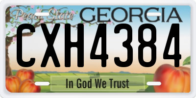 GA license plate CXH4384