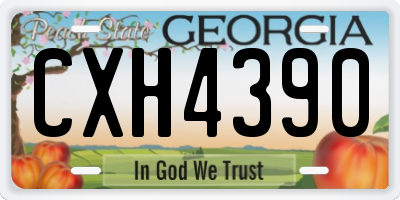 GA license plate CXH4390