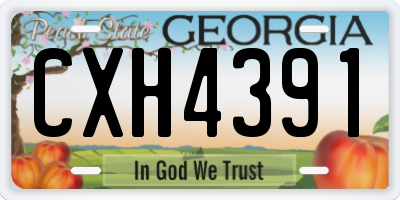 GA license plate CXH4391