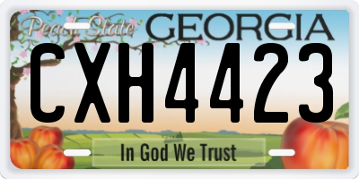 GA license plate CXH4423