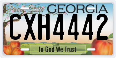 GA license plate CXH4442