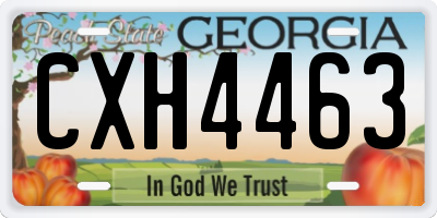 GA license plate CXH4463