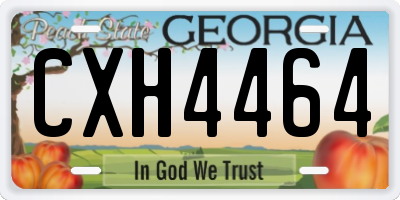 GA license plate CXH4464