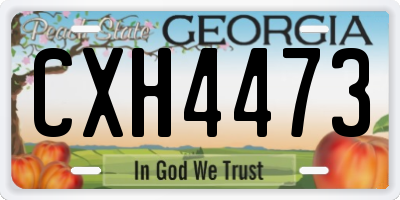 GA license plate CXH4473