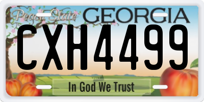 GA license plate CXH4499