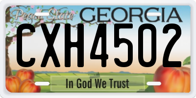 GA license plate CXH4502