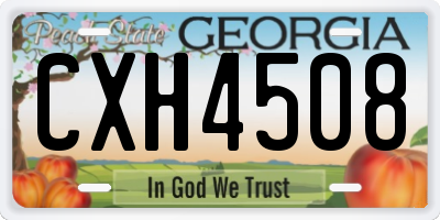 GA license plate CXH4508