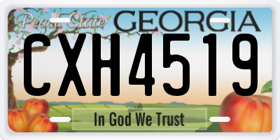 GA license plate CXH4519