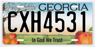 GA license plate CXH4531