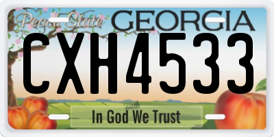 GA license plate CXH4533