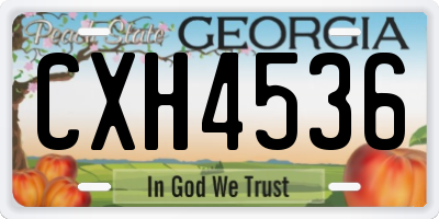 GA license plate CXH4536
