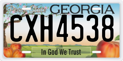 GA license plate CXH4538
