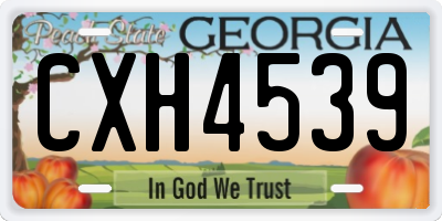 GA license plate CXH4539