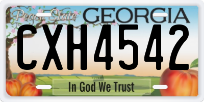 GA license plate CXH4542