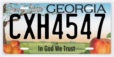 GA license plate CXH4547