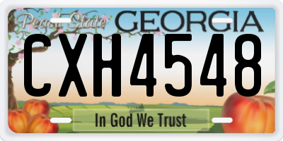 GA license plate CXH4548