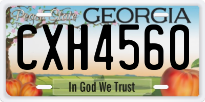 GA license plate CXH4560