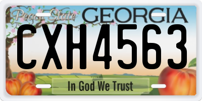 GA license plate CXH4563