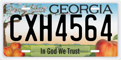 GA license plate CXH4564