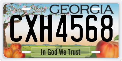GA license plate CXH4568