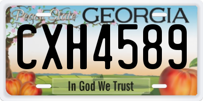 GA license plate CXH4589