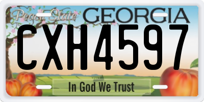 GA license plate CXH4597