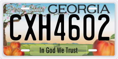 GA license plate CXH4602