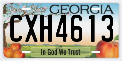 GA license plate CXH4613