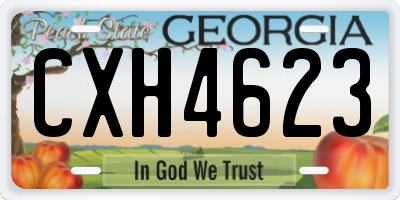 GA license plate CXH4623