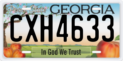 GA license plate CXH4633