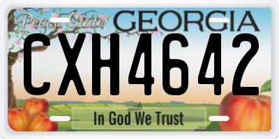 GA license plate CXH4642